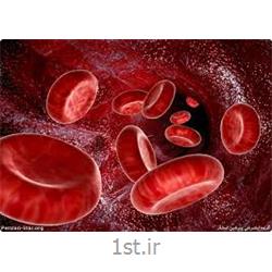 آزمایش شمارش سلولی خون   CBC