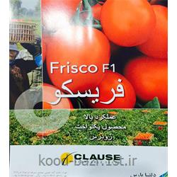 بذر گوجه فرنگی زودرس فریسکو ( Frisco )