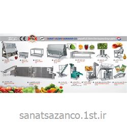 دستگاه شستشو سبزیجات و میوه جات (بلانچر SSN 1006 )
