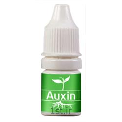 هورمون رشد گیاه اکسین (Auxin)