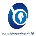 لوگو شرکت گسترش تجارت و سرمایه ایرانیان