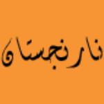 لوگو شرکت نارنجستان