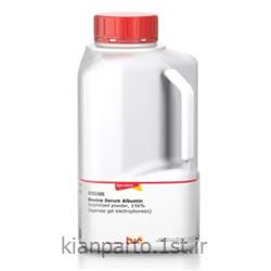 تارترازین 100 گرمی کد T0388 سیگما