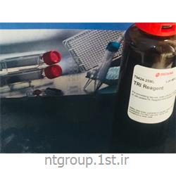 ماده chloramphenicol sigma c0378