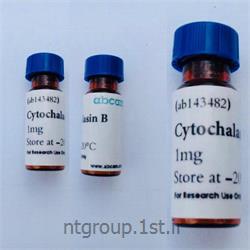 ماده cytochalasinb  محصول کمپانی abcam