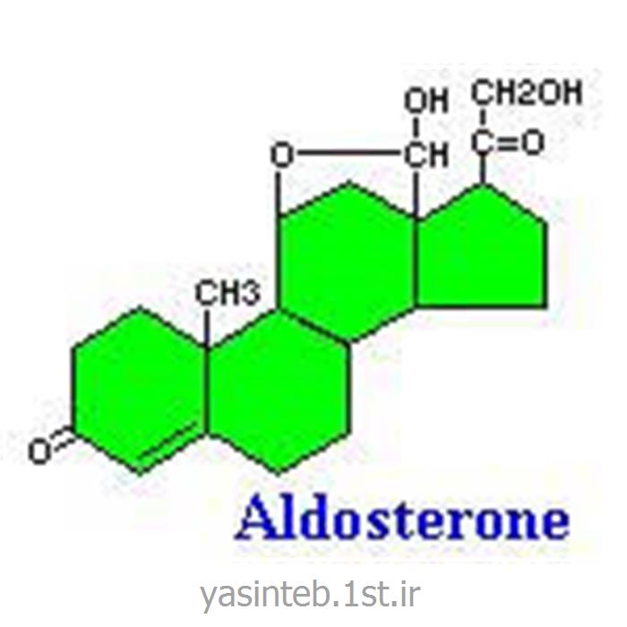 Aldosterone آلدسترون DIAMETRA دیامترا