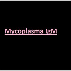 مایکوپلاسما  IgM