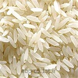 مطالعات امکان سنجی تولید برنج سنتزی