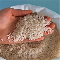 برنج عنبربو 10 کیلویی چاپاتی