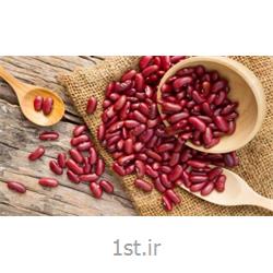 لوبیا قرمز ایرانی 900 گرمی فامیلا