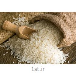 برنج کامفیروز 10 کیلویی بردیا