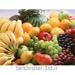 صادرات میوه تازه ایرانی به صورت فله