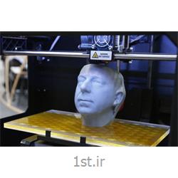 عکس پروژه های تجهیزات صنعتیپرینت سه بعدی انواع تندیس های انسان