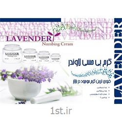 عکس سایر محصولات زیبایی و مراقبت های شخصیکرم بی حسی و ژل بی حسی قوی لاوندر Lavender 50