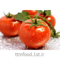 رب گوجه فرنگی اسپتیک با کیفیت صادراتی