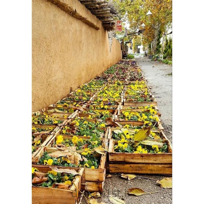 کاهگل 100% طبیعی سخت و مقاوم مانند سیمان