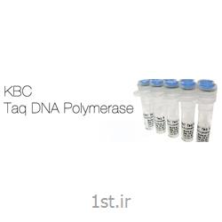 آنزیم تکثیر دهنده تک KBC Taq DNA Polymerase