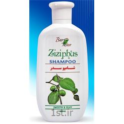 شامپو سدر 300 گرمی بارفتن ( Ziziphus Shampoo Barfatan )