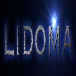 لوگو شرکت لیدوما پنجره